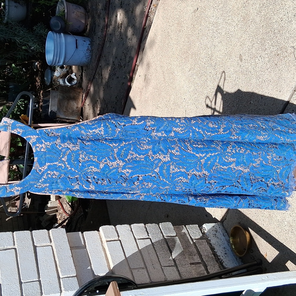 Dress the Population Blue Lace Maxi Dress
